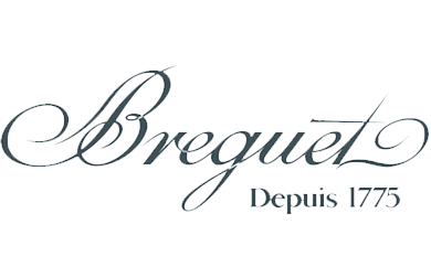 Breguet repair